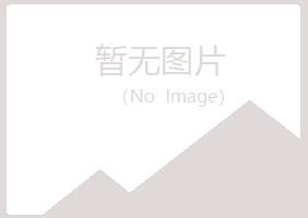 菏泽女孩会计有限公司